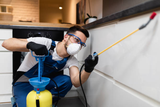 Best Best Pest Control Companies  in Cedaredge, CO