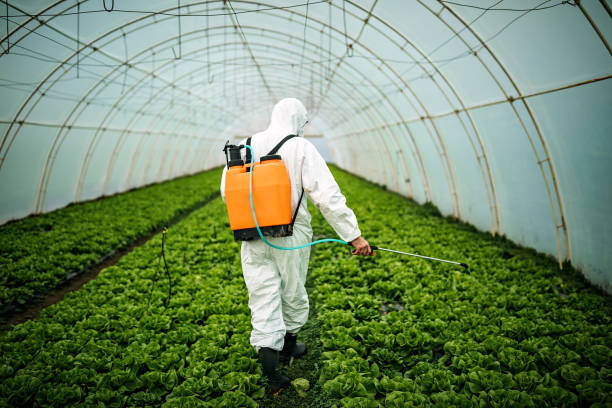 Best Affordable Exterminators  in Cedaredge, CO