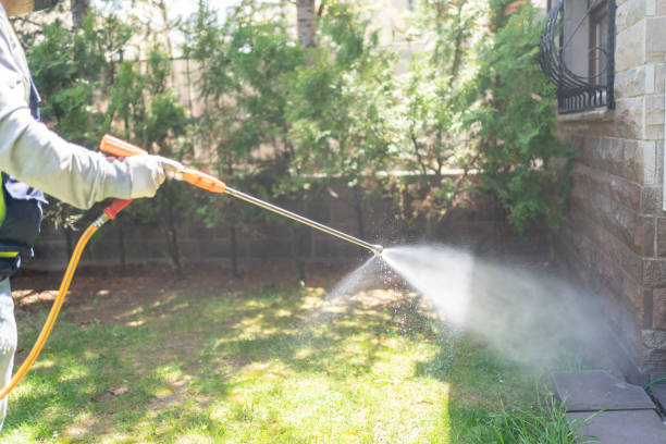 Bird Control in Cedaredge, CO