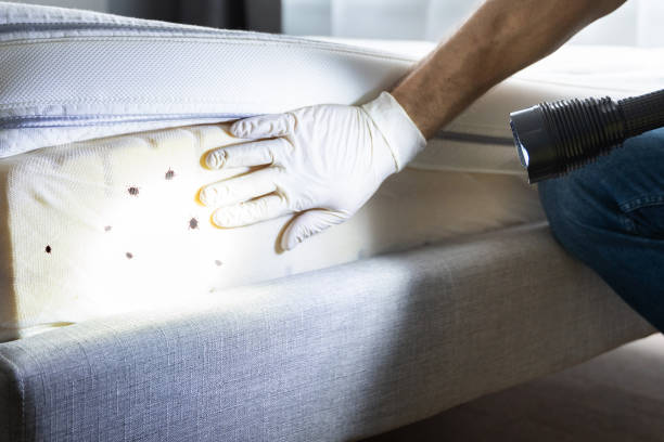 Best Commercial Pest Control Services  in Cedaredge, CO